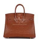 Hermes Birkin 25 GHW Matte Alligator GHW