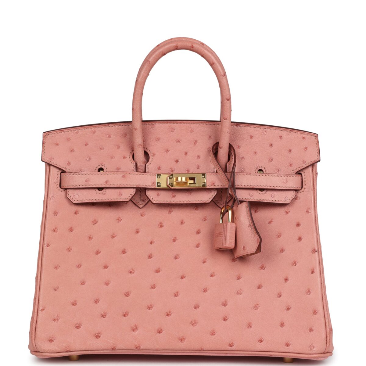 Hermes Birkin 25 Terre Cuite Ostrich GHW