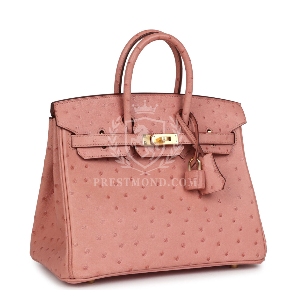 Hermes Birkin 25 Terre Cuite Ostrich GHW — изображение 2