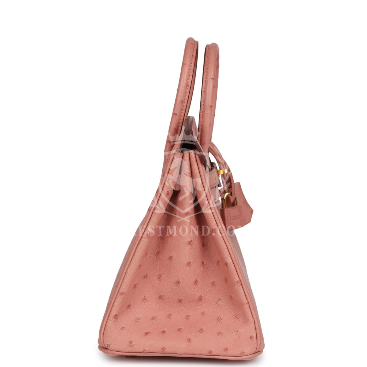 Hermes Birkin 25 Terre Cuite Ostrich GHW — изображение 4
