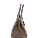Hermes Special Order (HSS) Birkin 30 Etoupe and Craie Togo Brushed GHW