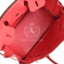 Hermes Birkin 30 Bougainvillea Clemence PHW