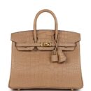 Hermes Birkin 25 Chai Matte Alligator GHW