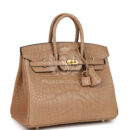 Hermes Birkin 25 Chai Matte Alligator GHW
