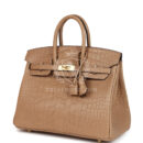 Hermes Birkin 25 Chai Matte Alligator GHW