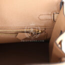 Hermes Birkin 25 Chai Matte Alligator GHW
