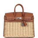 Hermes Picnic Birkin Sellier 25 Gold Swift PHW
