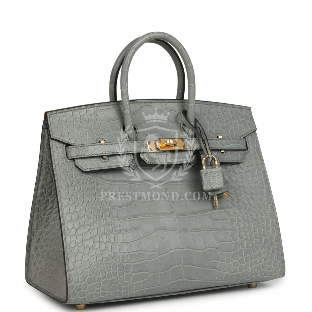 Hermes Birkin Sellier 25 Gris Ciment Matte Alligator GHW — изображение 2