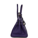Hermes Birkin 25 Iris Togo PHW