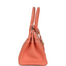 Hermes Birkin 30 Crevette Clemence GHW