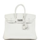 Hermes Birkin 25 New White Swift PHW