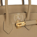 Hermes Birkin 25 Trench Togo GHW