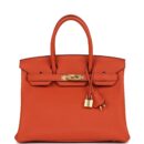 Hermes Birkin 30 Terre Battue Togo GHW