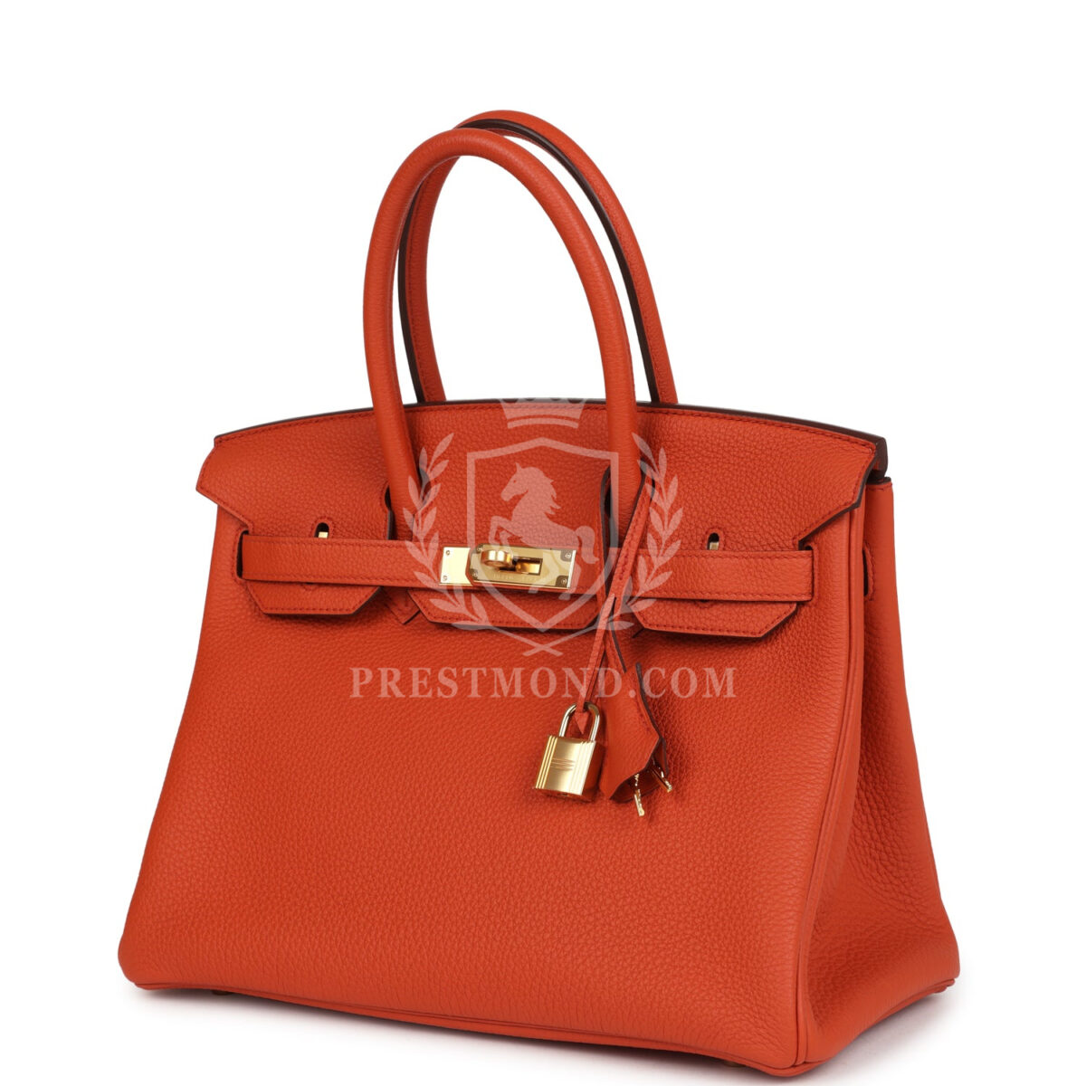 Hermes Birkin 30 Terre Battue Togo GHW — изображение 5