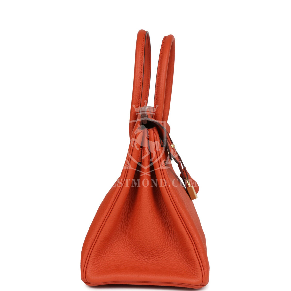 Hermes Birkin 30 Terre Battue Togo GHW — изображение 3
