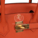 Hermes Birkin 30 Terre Battue Togo GHW