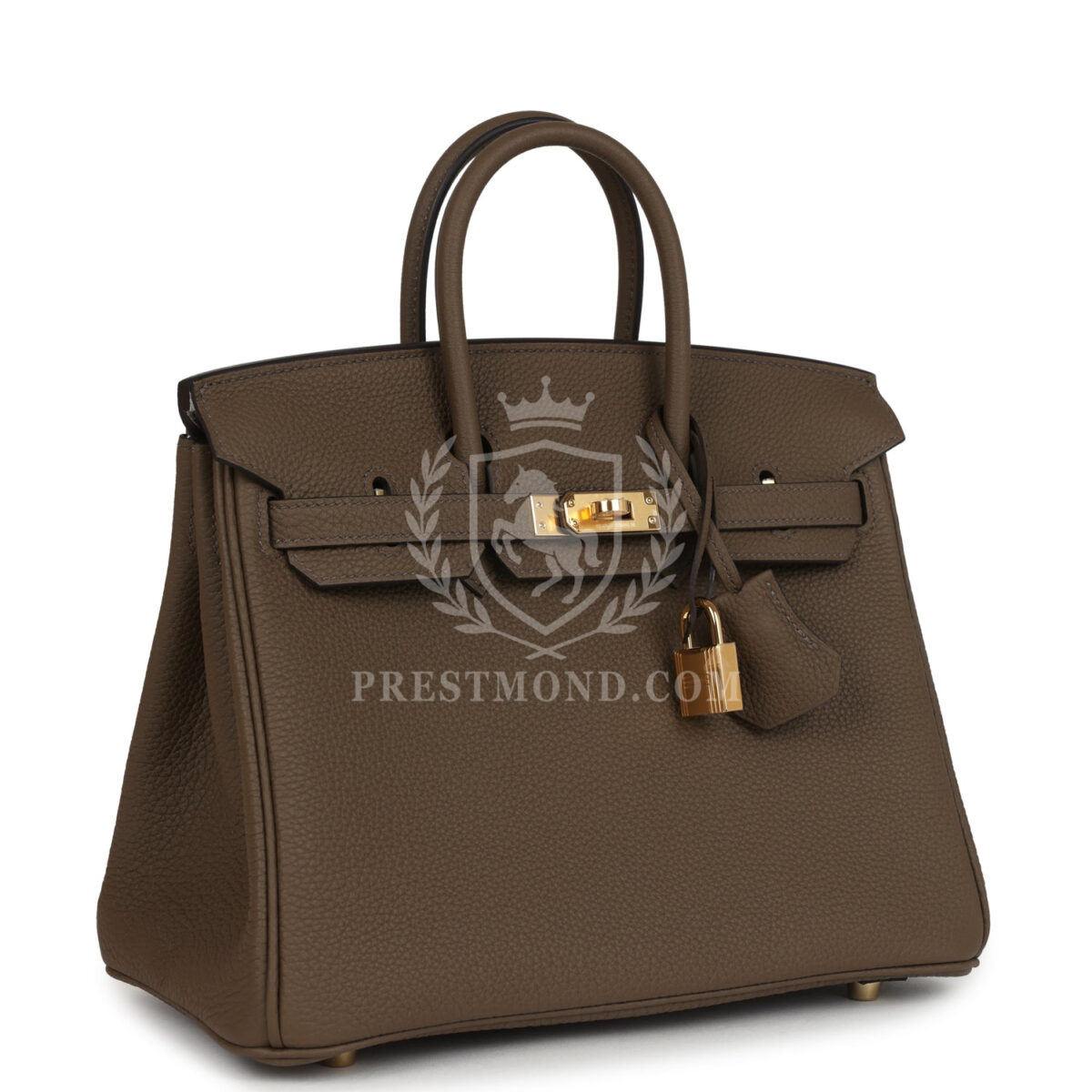 Hermes Birkin 25 Toundra Verso Togo GHW — изображение 2