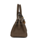 Hermes Birkin 25 Toundra Verso Togo GHW