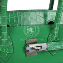 Hermes Birkin 30 Bambou Togo and Shiny Niloticus Crocodile Touch PHW