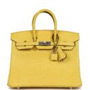 Hermes Birkin 25 Mimosa Matte Alligator PHW