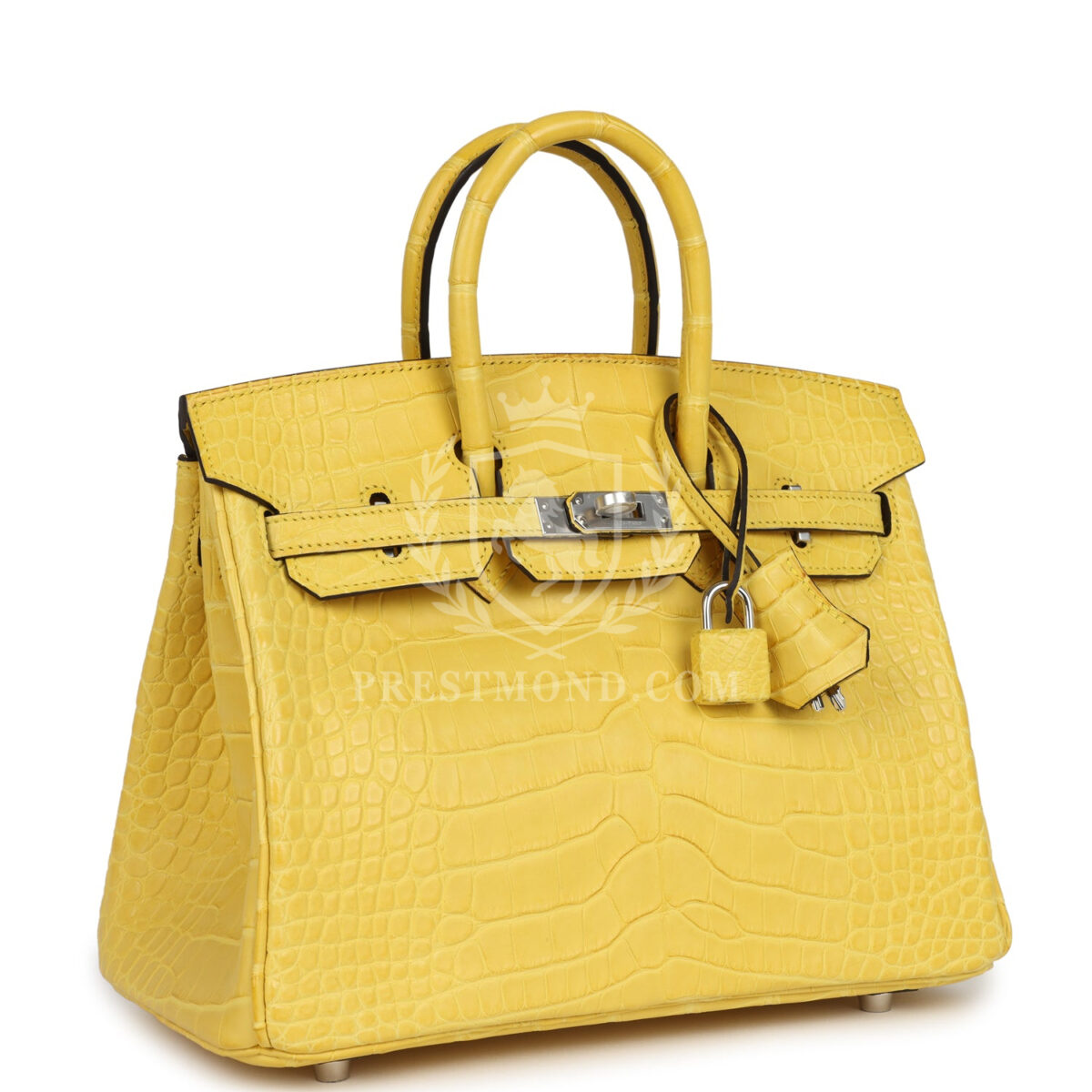 Hermes Birkin 25 Mimosa Matte Alligator PHW — изображение 2