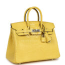 Hermes Birkin 25 Mimosa Matte Alligator PHW