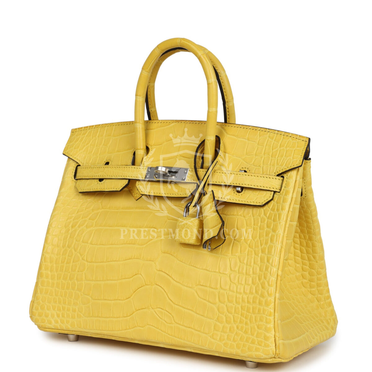Hermes Birkin 25 Mimosa Matte Alligator PHW — изображение 5