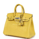 Hermes Birkin 25 Mimosa Matte Alligator PHW