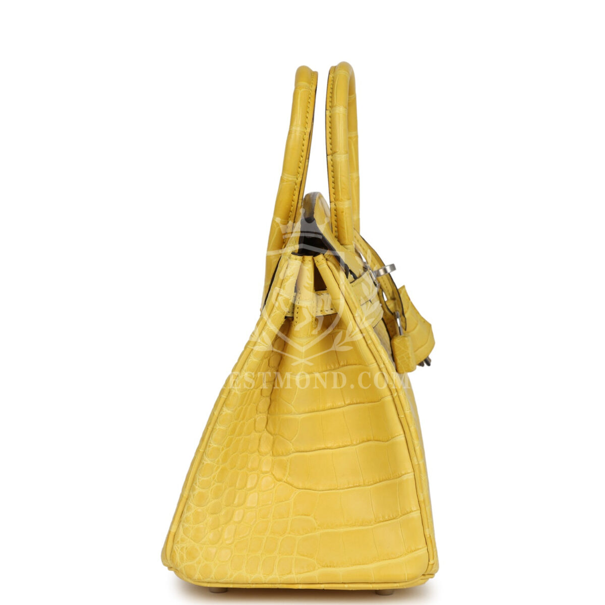 Hermes Birkin 25 Mimosa Matte Alligator PHW — изображение 3