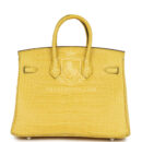 Hermes Birkin 25 Mimosa Matte Alligator PHW