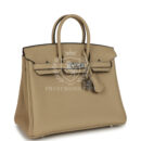 Hermes Birkin 25 Trench Verso Togo PHW
