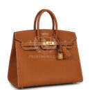 Hermes Birkin Sellier 25 GHW Epsom GHW