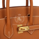 Hermes Birkin Sellier 25 GHW Epsom GHW