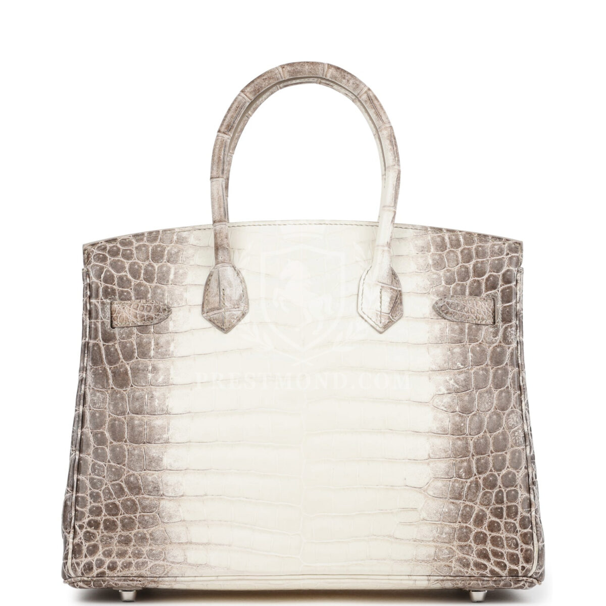 Hermes Birkin 30 Himalaya Niloticus Crocodile PHW — изображение 4