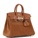 Hermes Birkin 25 Chamois Grizzly and GHW Swift GHW
