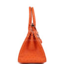 Hermes Birkin 30 Tangerine Ostrich GHW
