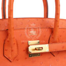 Hermes Birkin 30 Tangerine Ostrich GHW