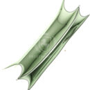 Hermes Constance 1-18 Vert Fizz Epsom PBHW