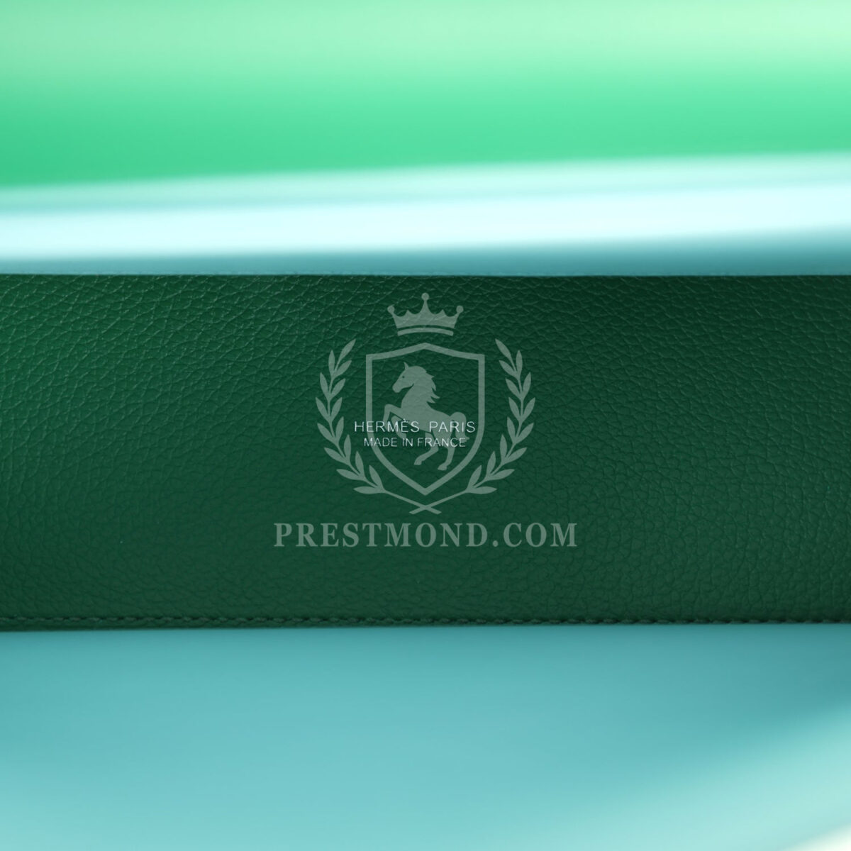 Hermes Kelly Danse Cactus Verso Evercolor PHW — изображение 9