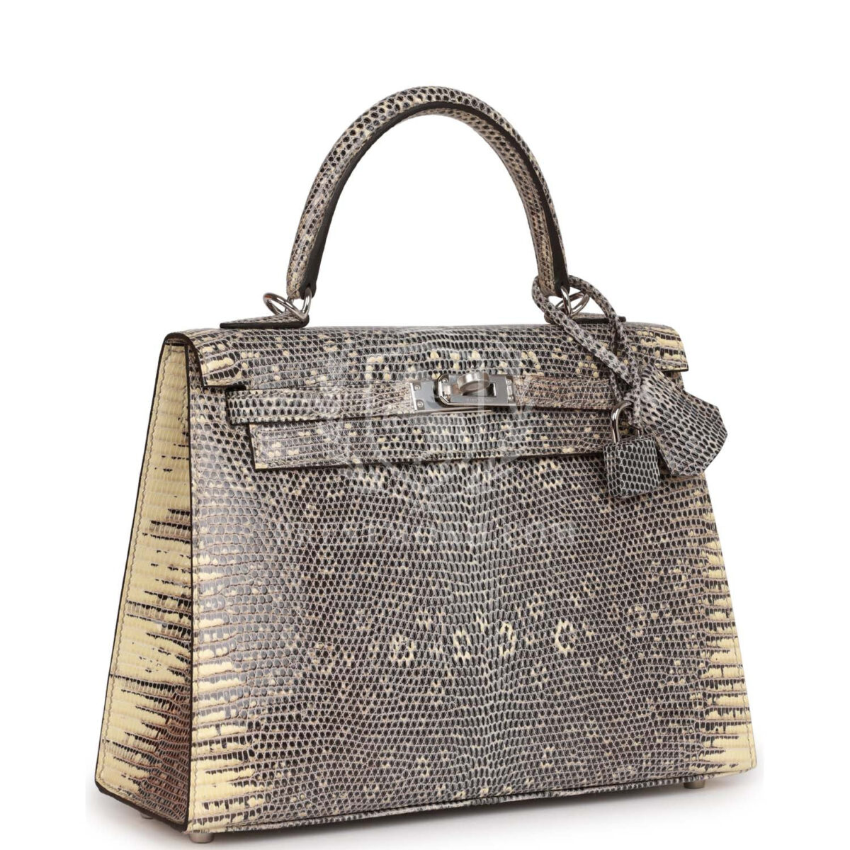 Hermes Kelly Sellier 25 Ombre Varanus Salvator Lizard PHW — изображение 2