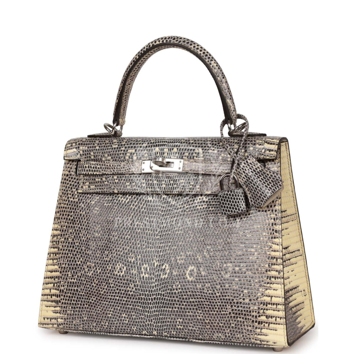 Hermes Kelly Sellier 25 Ombre Varanus Salvator Lizard PHW — изображение 5