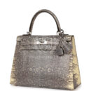 Hermes Kelly Sellier 25 Ombre Varanus Salvator Lizard PHW