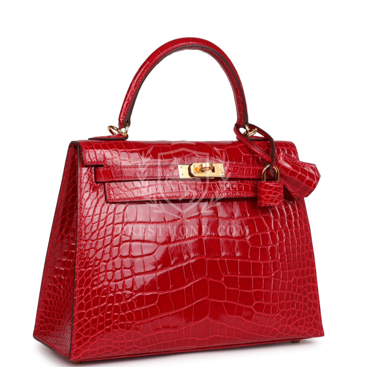 Hermes Kelly Sellier 25 Braise Shiny Alligator Mississippiensis GHW — изображение 2