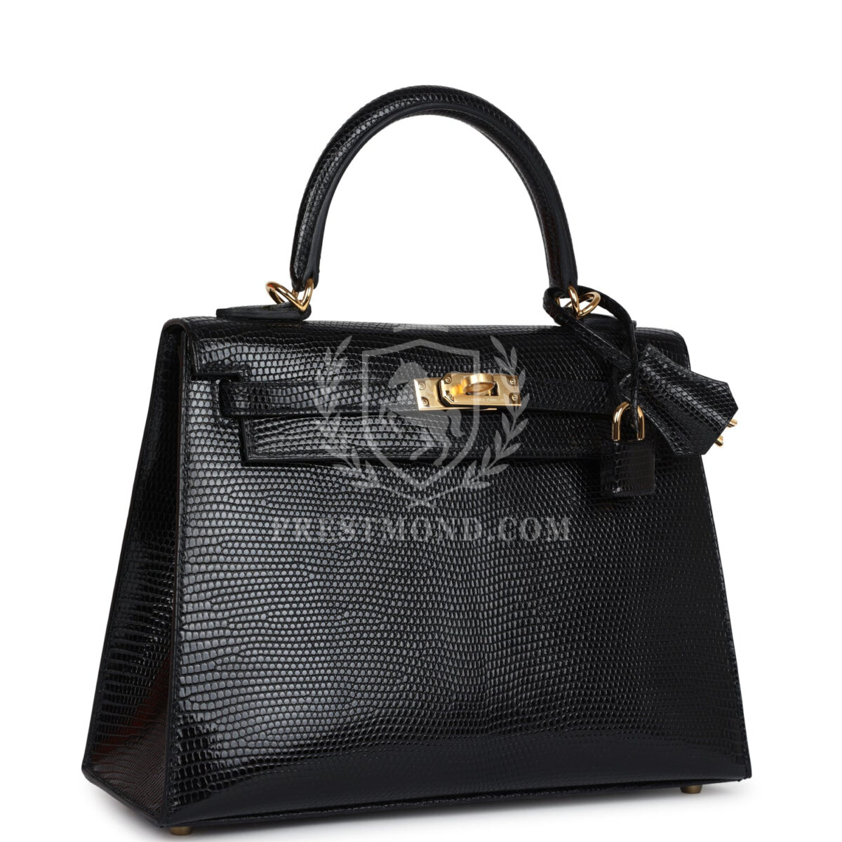 Hermes Kelly Sellier 25 Black Varanus Niloticus Lizard GHW — изображение 2