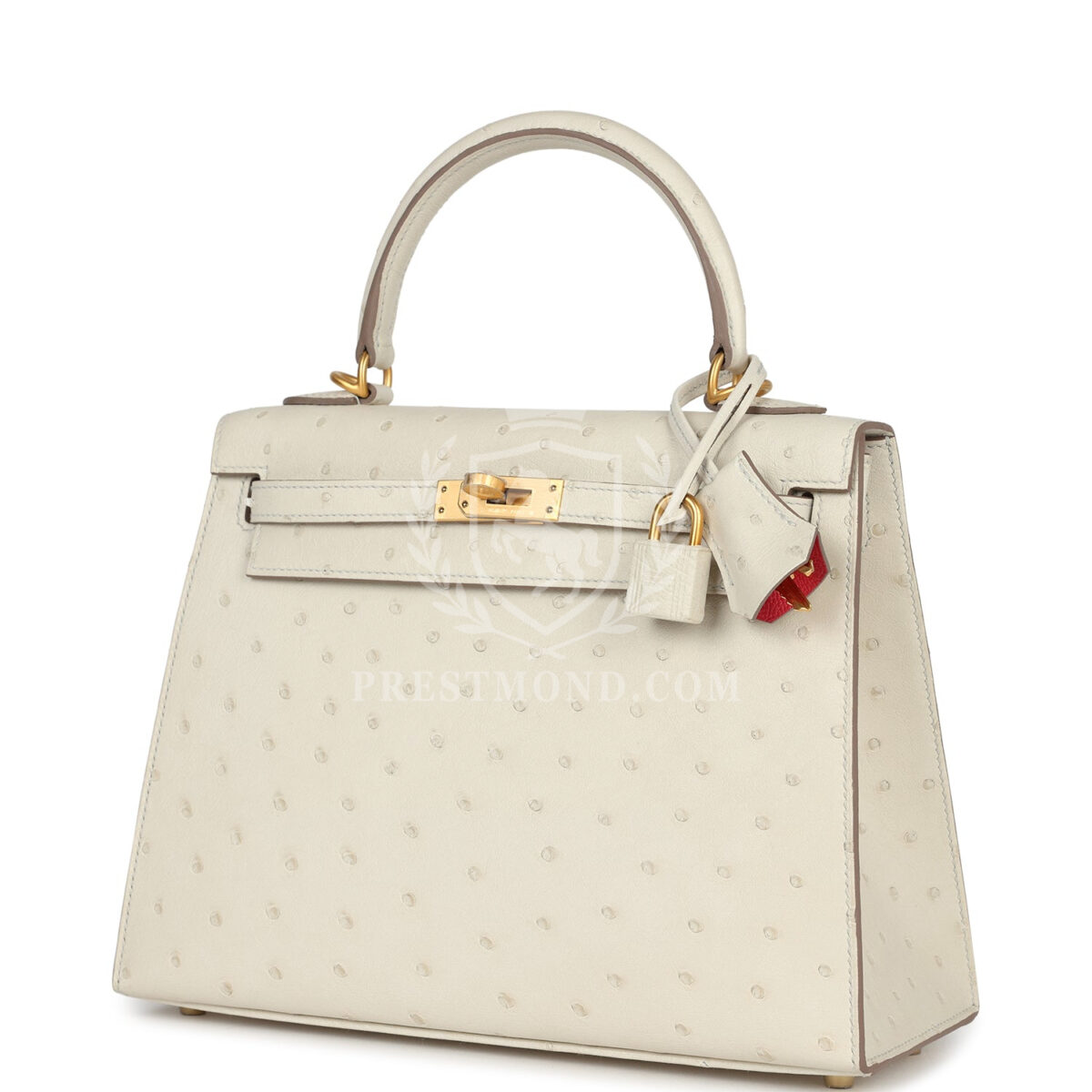 Hermes Special Order (HSS) Kelly Sellier 25 Beton Ostrich Verso Brushed GHW — изображение 5