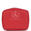 Hermes Micro Picotin Lock 14 Bougainvillea Ostrich PHW
