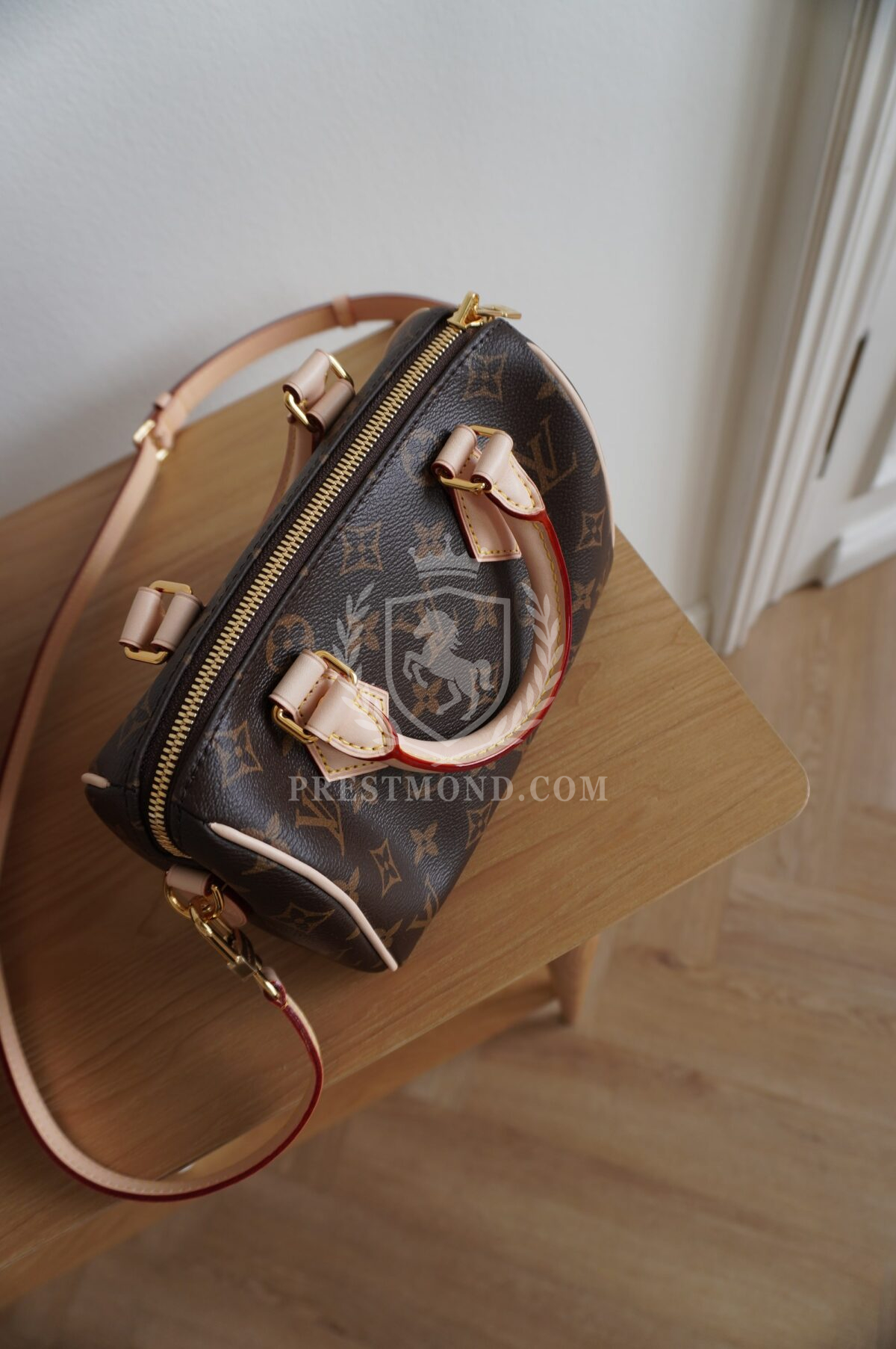 Louis Vuitton Speedy 20