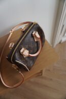 Louis Vuitton Speedy 20