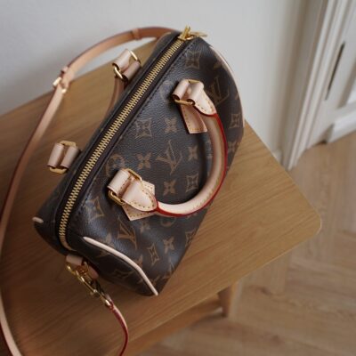 Louis Vuitton Speedy 20