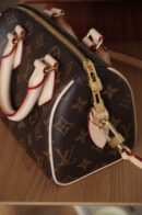 Louis Vuitton Speedy 20